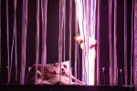 Сон в летнюю ночь 